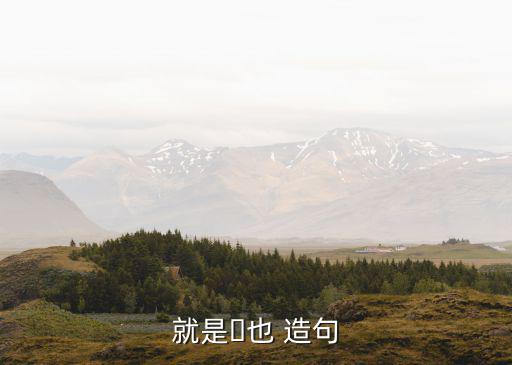 就是?也 造句