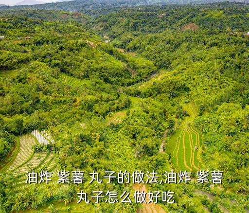 油炸 紫薯 丸子的做法,油炸 紫薯 丸子怎么做好吃