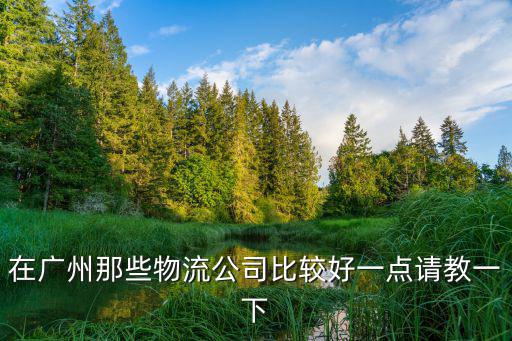 從廣州去廣州物流公司，最新2011年廣州物流公司排名廣州物流公司哪一家好