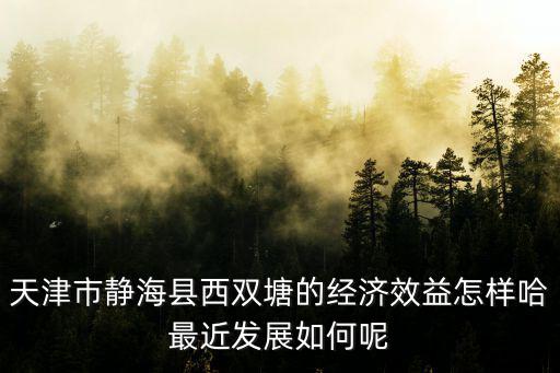 天津市靜?？h西雙塘的經濟效益怎樣哈最近發展如何呢