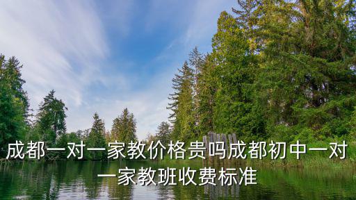 成都一對(duì)一家教價(jià)格貴嗎成都初中一對(duì)一家教班收費(fèi)標(biāo)準(zhǔn)