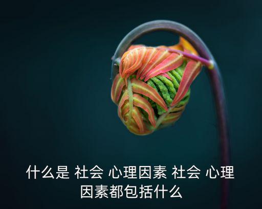 社會心理,社會心理分類體系包括六大方面
