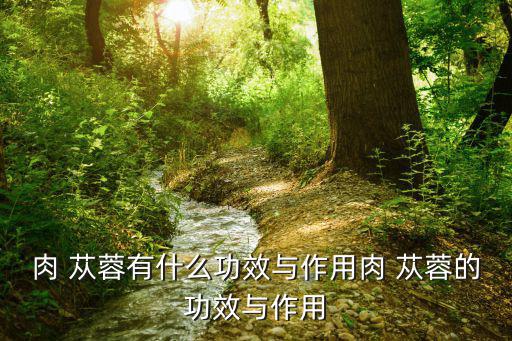 蓯蓉的功效,肉蓯蓉可調(diào)節(jié)人體循環(huán)系統(tǒng)特別是心血管疾病