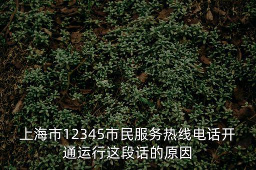 上海市民熱線是干嘛的，上海市12345市民服務熱線電話開通運行這段話的原因