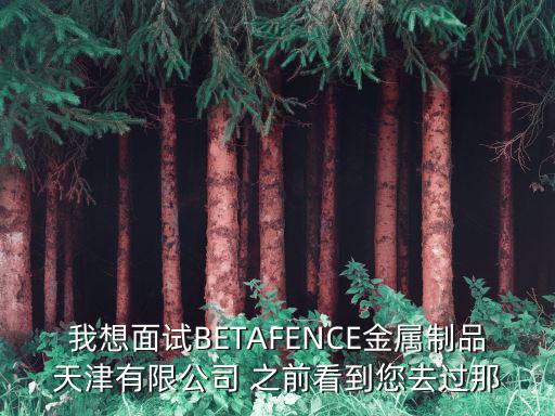 我想面試BETAFENCE金屬制品天津有限公司 之前看到您去過(guò)那