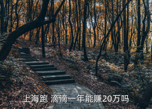 上海跑 滴滴一年能賺20萬嗎