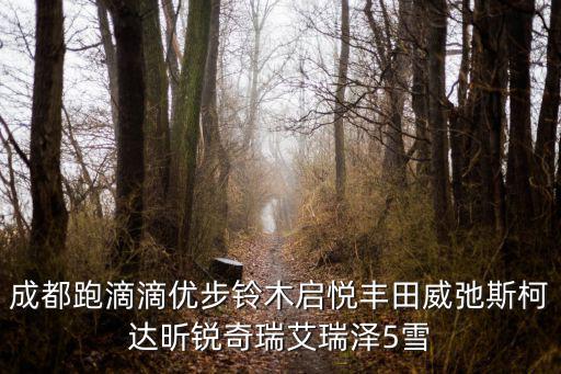 成都跑滴滴優(yōu)步鈴木啟悅豐田威弛斯柯達(dá)昕銳奇瑞艾瑞澤5雪