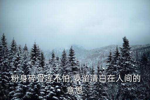  粉身碎骨渾不怕,要留清白在人間的意思
