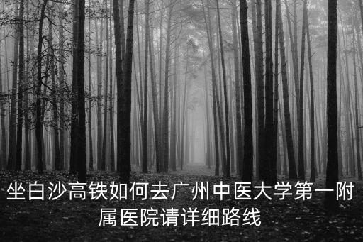 坐白沙高鐵如何去廣州中醫大學第一附屬醫院請詳細路線