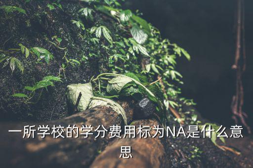 一所學校的學分費用標為NA是什么意思