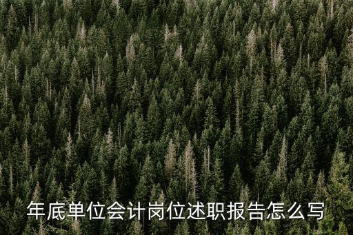 年底單位會計崗位述職報告怎么寫