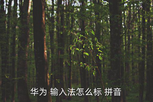 華為 輸入法怎么標 拼音