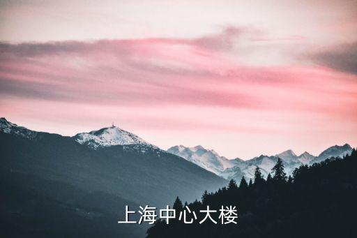 上海中心大廈簡介造價，上海中心大樓