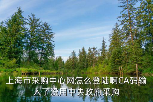 上海市采購(gòu)中心網(wǎng)怎么登陸啊CA碼輸入了沒(méi)用中央政府采購(gòu)