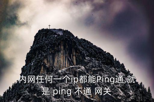 內(nèi)網(wǎng)任何一個(gè)ip都能Ping通,就是 ping 不通 網(wǎng)關(guān)
