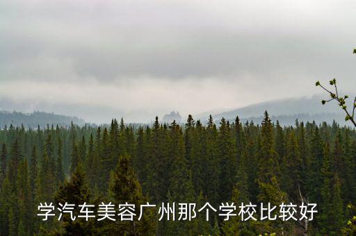 學汽車美容廣州那個學校比較好