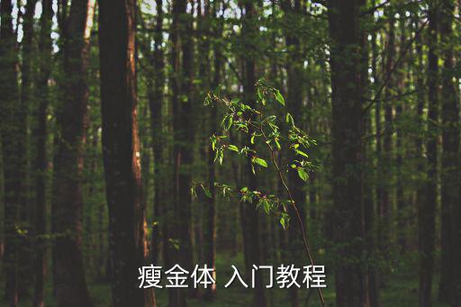  瘦金體 入門教程