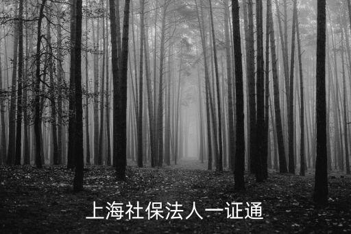 上海社保法人一證通
