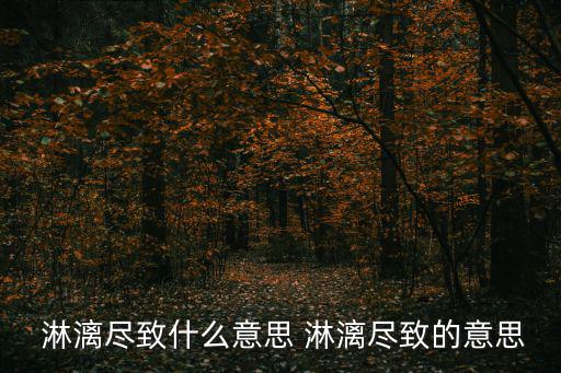  淋漓盡致什么意思 淋漓盡致的意思