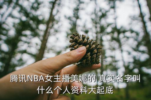 騰訊NBA女主播美娜的 真實名字叫什么個人資料大起底