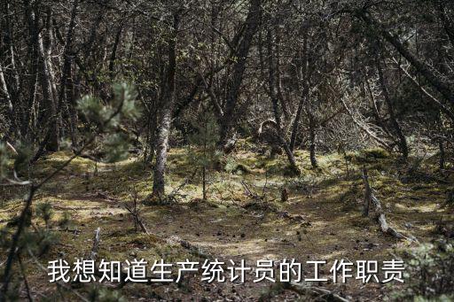統計員崗位職責，統計員主要做什么工作