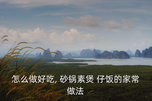 怎么做好吃, 砂鍋素煲 仔飯的家常做法