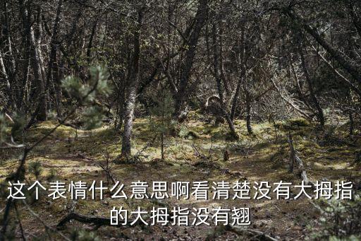 這個表情什么意思啊看清楚沒有大拇指的大拇指沒有翹