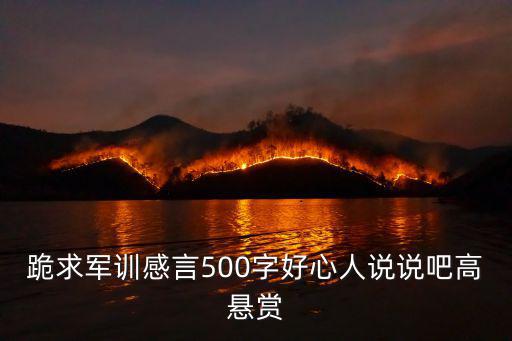 跪求軍訓感言500字好心人說說吧高懸賞
