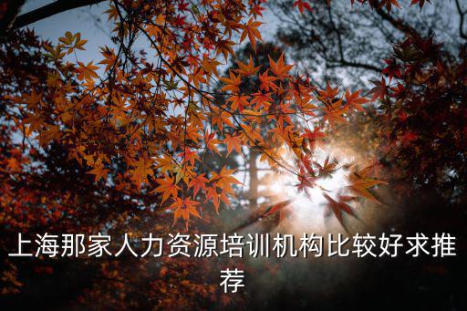 上海職業資格培訓機構，上海哪里有企業培訓師認證通過率高的培訓機構