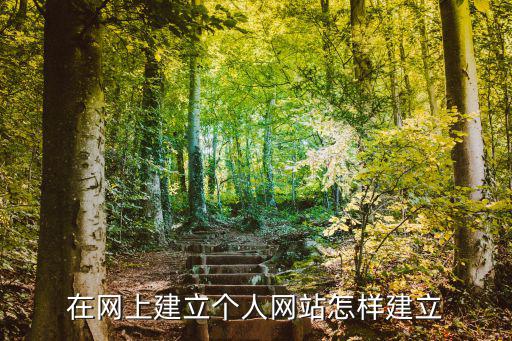 在網上建立個人網站怎樣建立