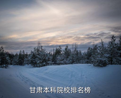 甘肅省大學(xué),甘肅大學(xué)排名:蘭州大學(xué)西北師范大學(xué)大學(xué)