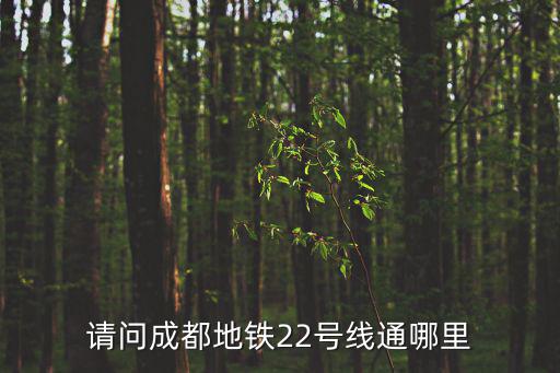 請(qǐng)問成都地鐵22號(hào)線通哪里