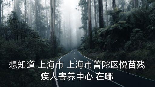 想知道 上海市 上海市普陀區(qū)悅苗殘疾人寄養(yǎng)中心 在哪