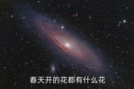  春天開的花都有什么花