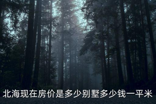 北海現在房價是多少別墅多少錢一平米