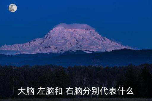 大腦 左腦和 右腦分別代表什么