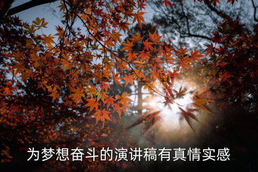 為夢(mèng)想奮斗的演講稿有真情實(shí)感
