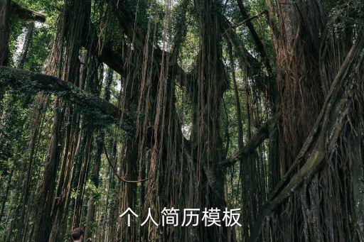 個人簡歷模板