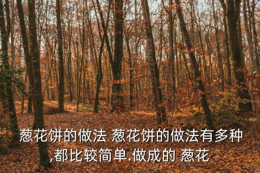  蔥花餅的做法 蔥花餅的做法有多種,都比較簡單.做成的 蔥花