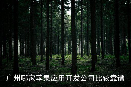 廣州哪家蘋(píng)果應(yīng)用開(kāi)發(fā)公司比較靠譜