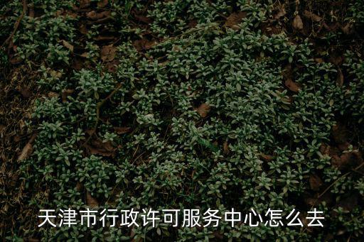 天津市行政許可服務(wù)中心怎么去