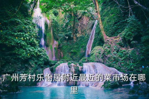 廣州芳村樂怡居附近最近的菜市場在哪里