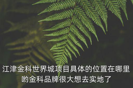 重慶市江津區2020年重大項目清單，重慶江津餐飲連鎖項目