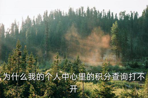 為什么我的個(gè)人中心里的積分查詢(xún)打不開(kāi)