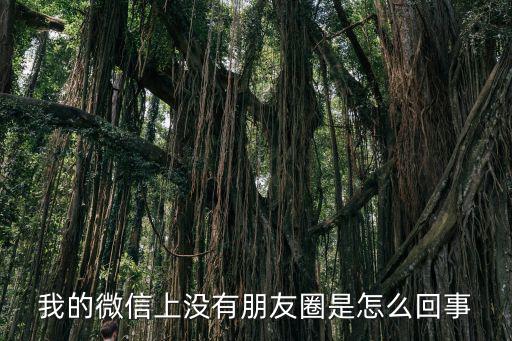 沒有朋友圈，最近發(fā)現(xiàn)微信已經(jīng)沒有朋友圈一欄了是什么原因呢
