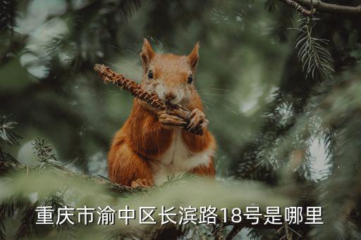 重慶市渝中區(qū)長濱路18號是哪里