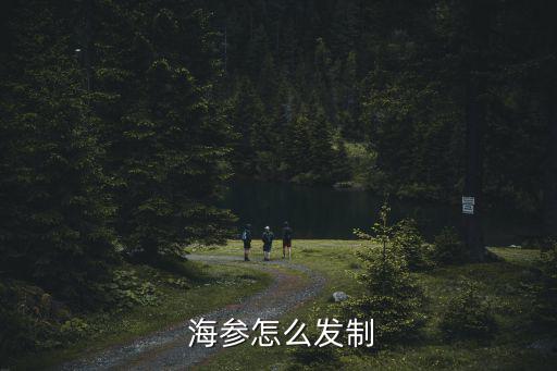  海參怎么發(fā)制
