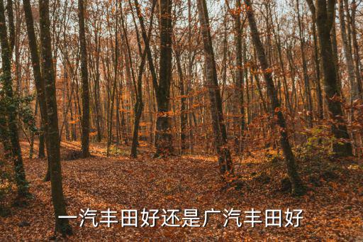 一汽豐田好還是廣汽豐田好