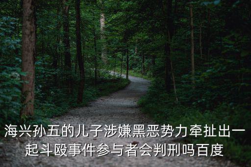 海興孫五的兒子涉嫌黑惡勢力牽扯出一起斗毆事件參與者會判刑嗎百度