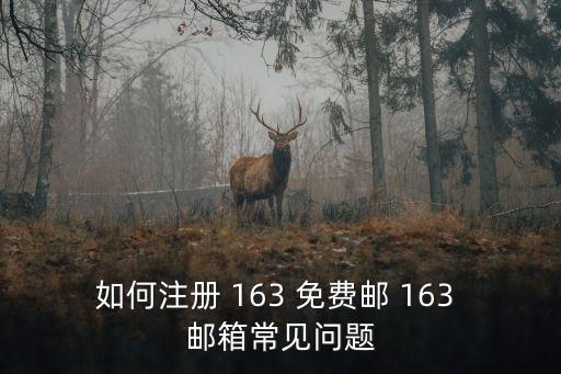 如何注冊 163 免費郵 163 郵箱常見問題